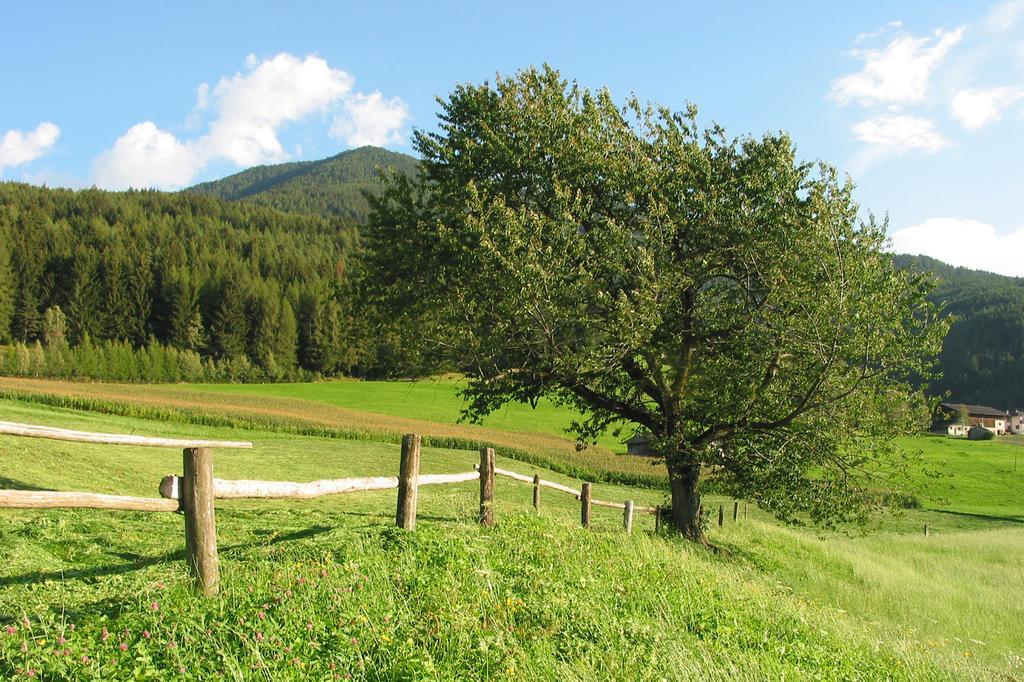 Spisserhof Кьюза Экстерьер фото