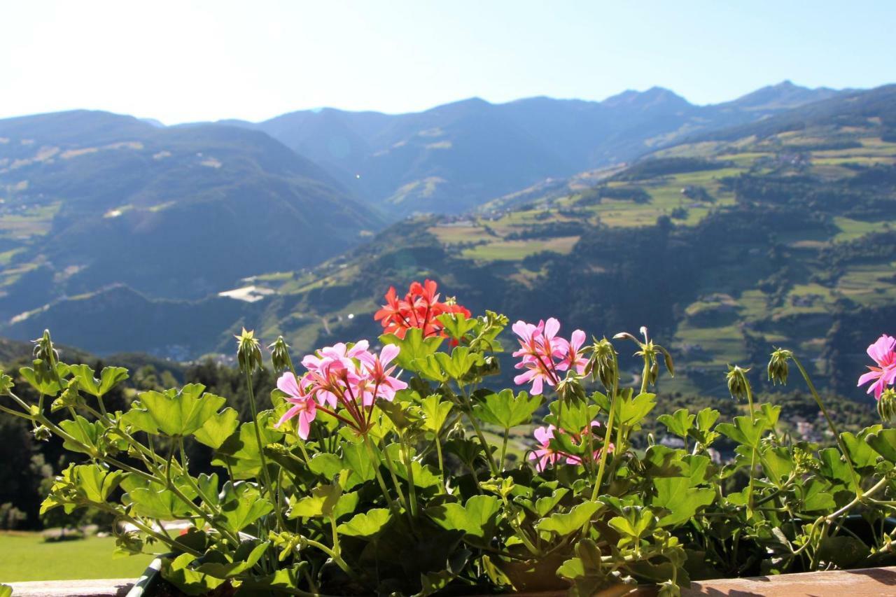 Spisserhof Кьюза Экстерьер фото